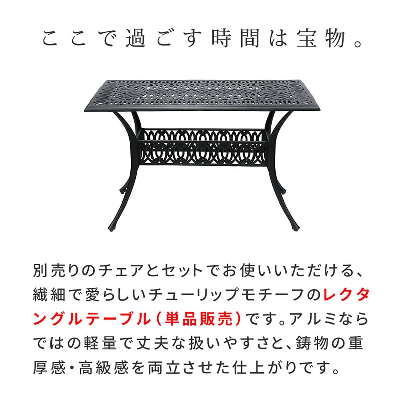住まいスタイル アルミ製レクタングルテーブル トルペ マットブラック BKS-RG124BLK 1台(ご注文単位1台)【直送品】