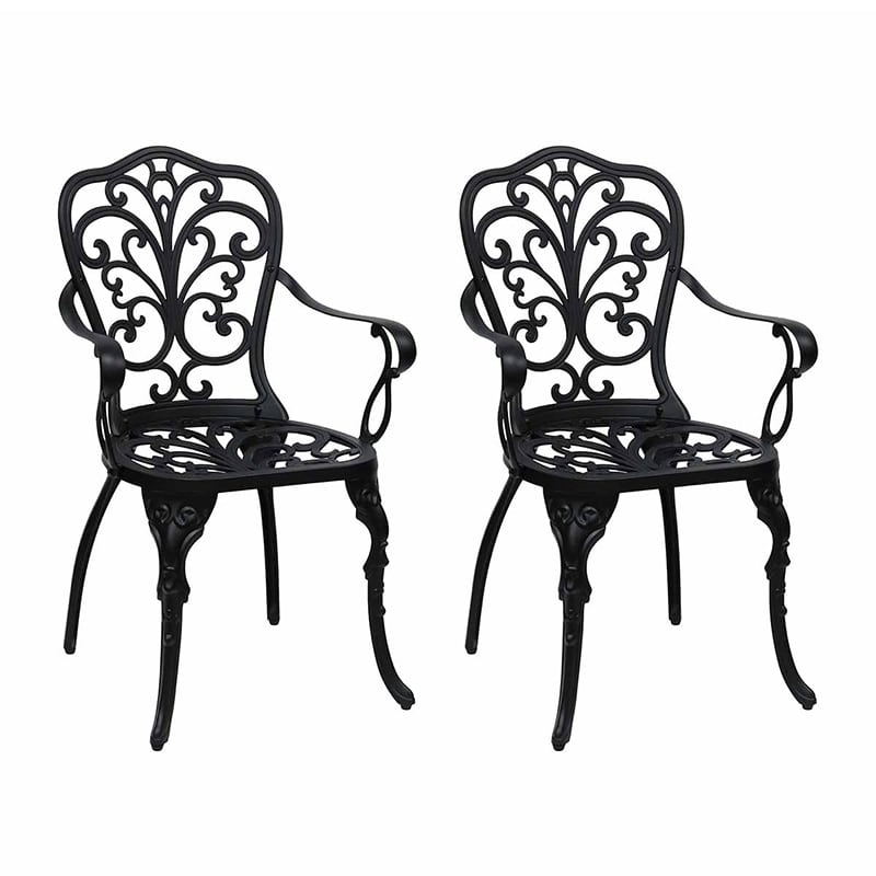 住まいスタイル アルミ製アームチェア トルペ 2脚セット マットブラック BKS-C5289-2P-BLK 1セット（ご注文単位1セット）【直送品】