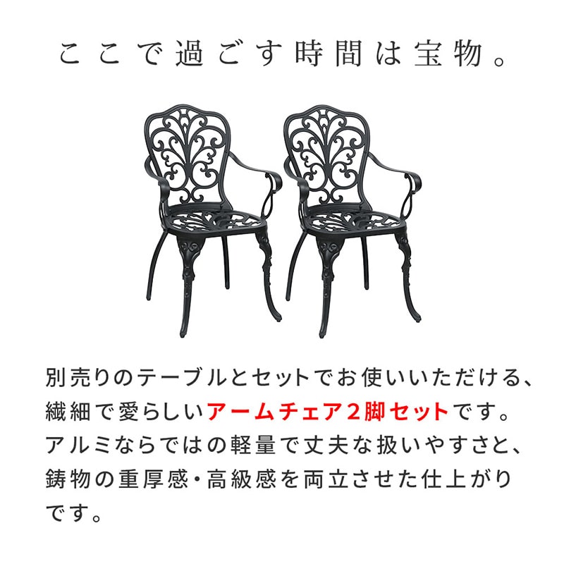 住まいスタイル アルミ製アームチェア トルペ 2脚セット マットブラック BKS-C5289-2P-BLK 1セット(ご注文単位1セット)【直送品】