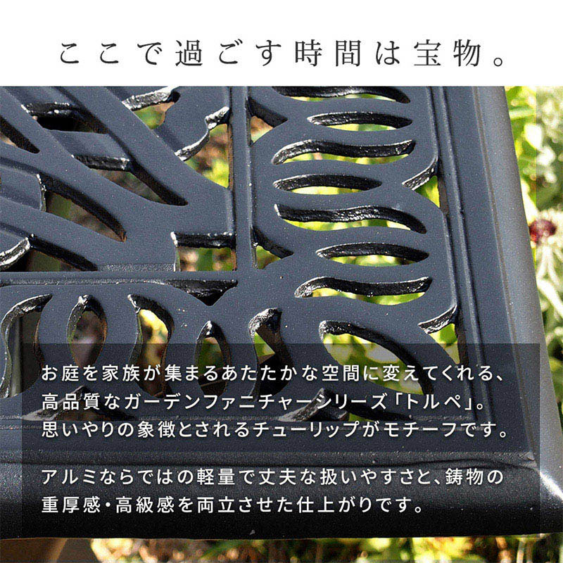 住まいスタイル アルミ製レクタングルテーブル&チェア トルペ 5点セット マットブラック BKS-RG124-5PS-BLK 1セット(ご注文単位1セット)【直送品】