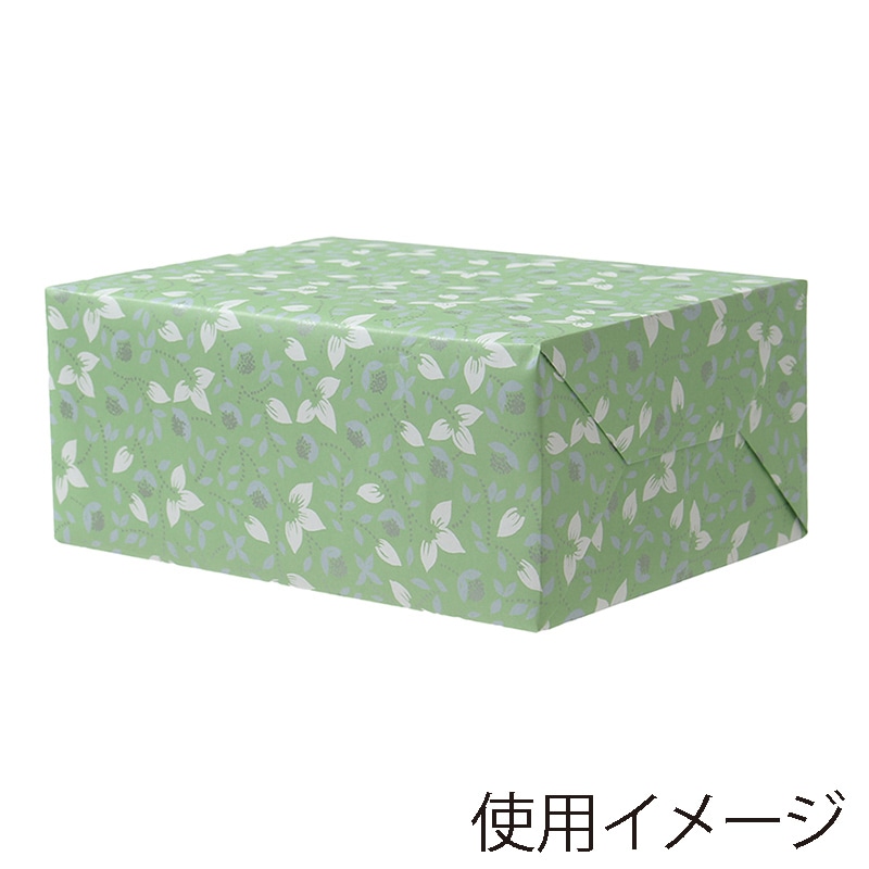 パックタケヤマ 包装紙 ハトロン半才判 ラフィーネ グリーン XZT00039 100枚/袋(ご注文単位5袋)【直送品】