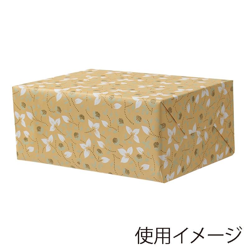 パックタケヤマ 包装紙　四六半才判 ラフィーネ　オレンジ XZT00081 100枚/袋（ご注文単位5袋）【直送品】