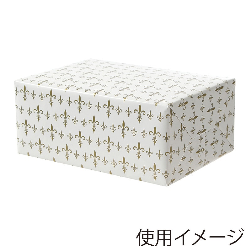 パックタケヤマ 包装紙　四六半才判 No.506 XZT01043 100枚/袋（ご注文単位5袋）【直送品】