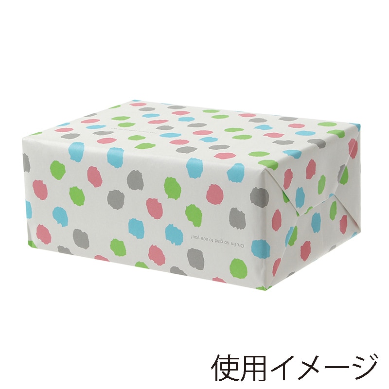 パックタケヤマ 包装紙 四六半才判 No.901 XZT00255 100枚/袋(ご注文単位5袋)【直送品】