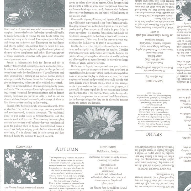 パックタケヤマ 包装紙　半切 ガーディアングレー　白 XZT00288 500枚/袋（ご注文単位2袋）【直送品】