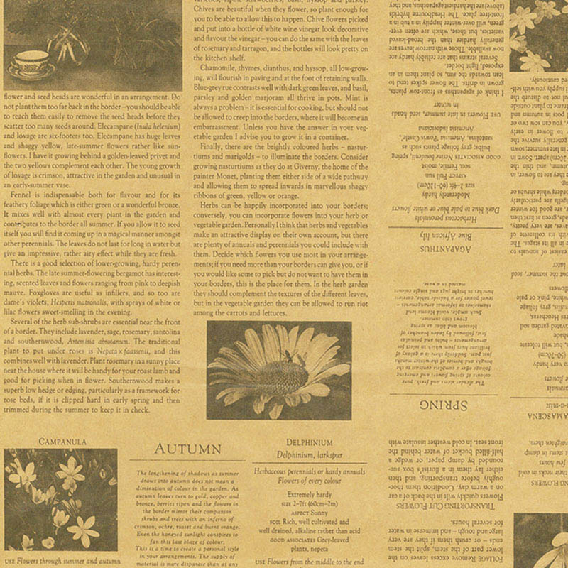 パックタケヤマ 包装紙　半切 ガーディアングレー　茶 XZT00290 500枚/袋（ご注文単位2袋）【直送品】