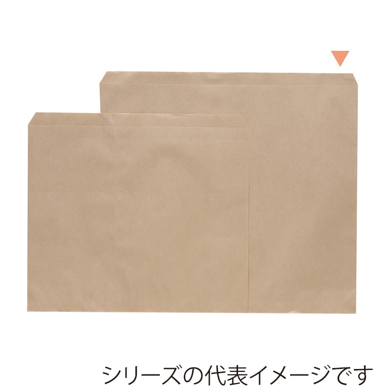 パックタケヤマ 平袋　フラット クラフト大　ヒモ付 XZT00341 500枚/袋（ご注文単位4袋）【直送品】