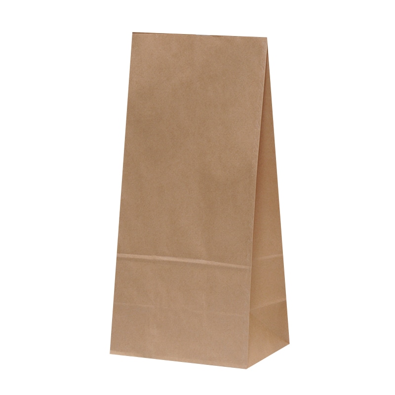 パックタケヤマ 角底袋　ハイバッグ H25　未晒　無地 XZT00391 100枚/袋（ご注文単位5袋）【直送品】