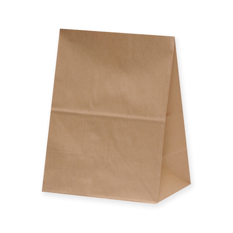 パックタケヤマ 角底袋 ハイバッグ H500 XZTT0396 未晒無地 100枚/袋