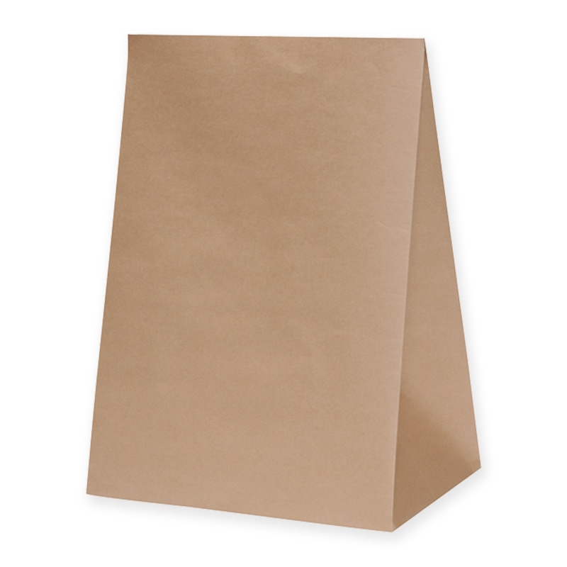 パックタケヤマ 角底袋 ハイバッグ H1200 XZT50120 未晒無地 50枚/パック