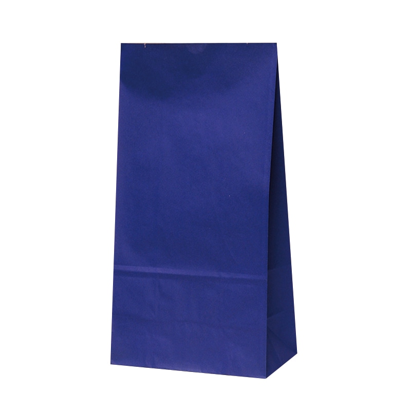 >パックタケヤマ 角底袋 ハイバッグ H12 マリン XZT00408 100枚/袋(ご注文単位10袋)【直送品】