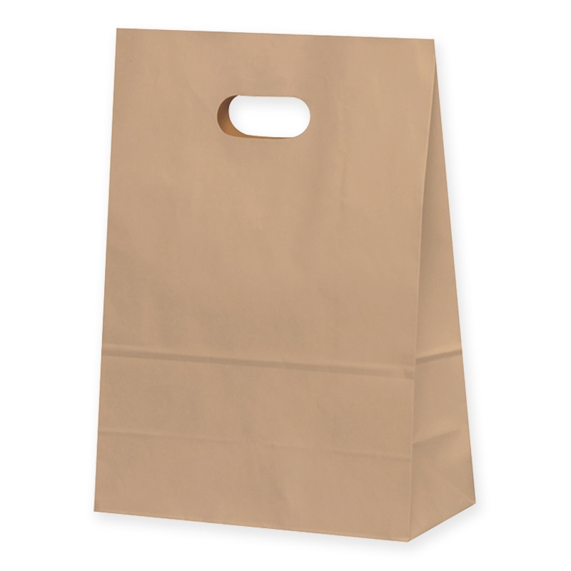 パックタケヤマ 手抜き角底袋 イーグリップ L XZT52030 茶無地 50枚/パック