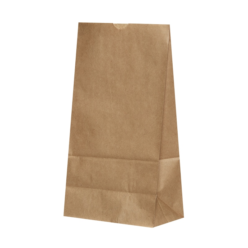 パックタケヤマ ハイバッグ 耐油角底袋 H6 茶無地 XZT55302 100枚/袋(ご注文単位10袋)【直送品】