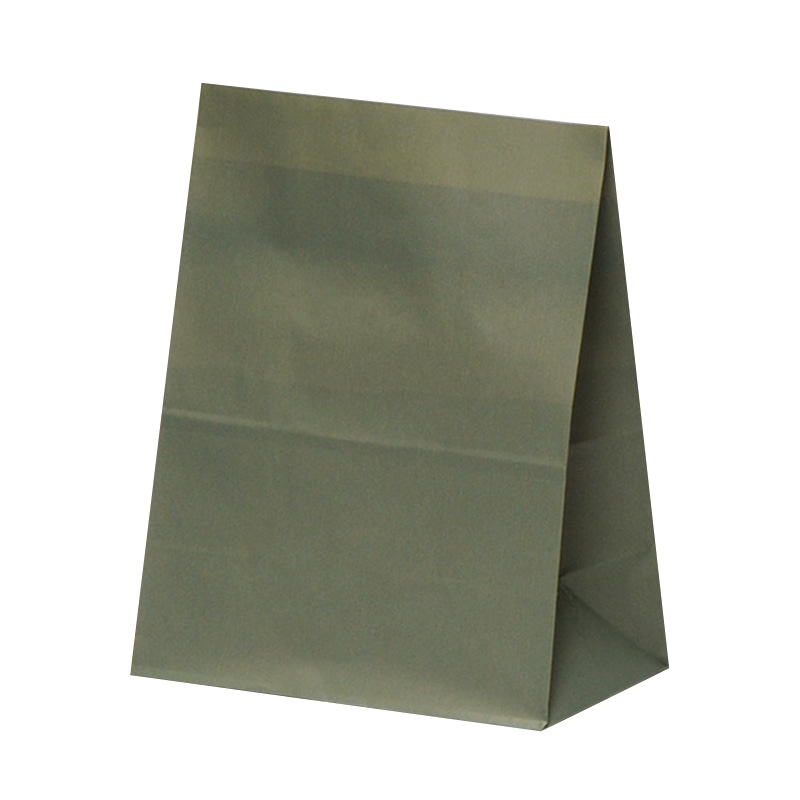 パックタケヤマ 角底袋 ハイバッグ H200 ヴェルデ XZT01070 100枚/袋(ご注文単位10袋)【直送品】