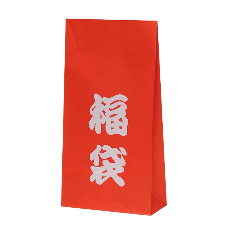 パックタケヤマ 角底袋　ハイバッグ HA　福袋 XZTT0565 100枚/袋（ご注文単位10袋）【直送品】