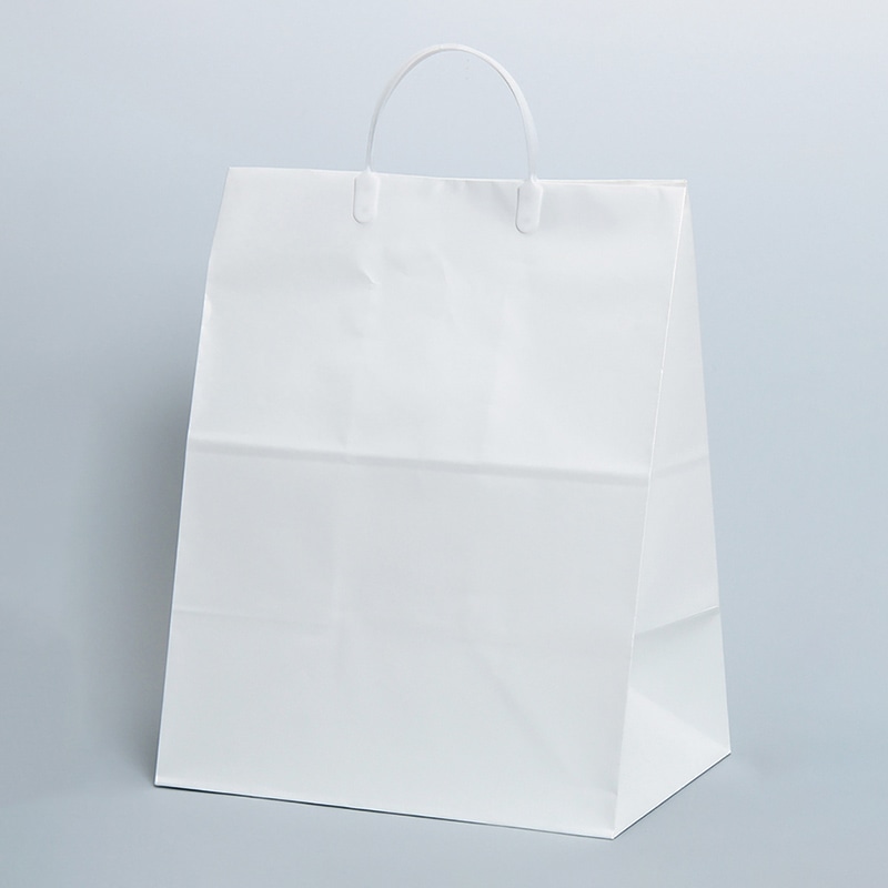 パックタケヤマ 手提げ紙袋 ブライダル　大 XZT40002 10枚/袋（ご注文単位10袋）【直送品】