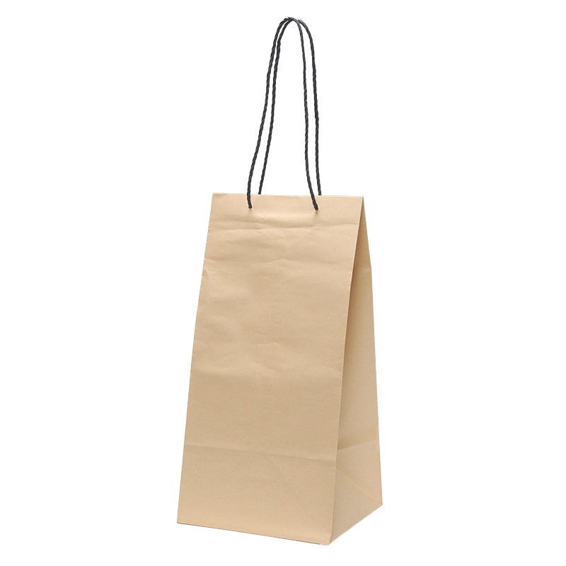 パックタケヤマ 手提げ紙袋 CM XZV00991 10枚/袋（ご注文単位5袋）【直送品】