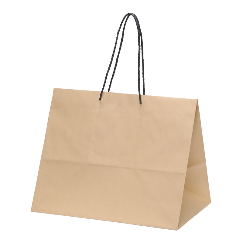 パックタケヤマ 手提げ紙袋 BL XZV00992 10枚/袋（ご注文単位5袋）【直送品】