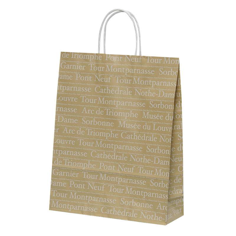 パックタケヤマ 自動手提袋 HZ　フランセ XZT66648 50枚/袋（ご注文単位4袋）【直送品】