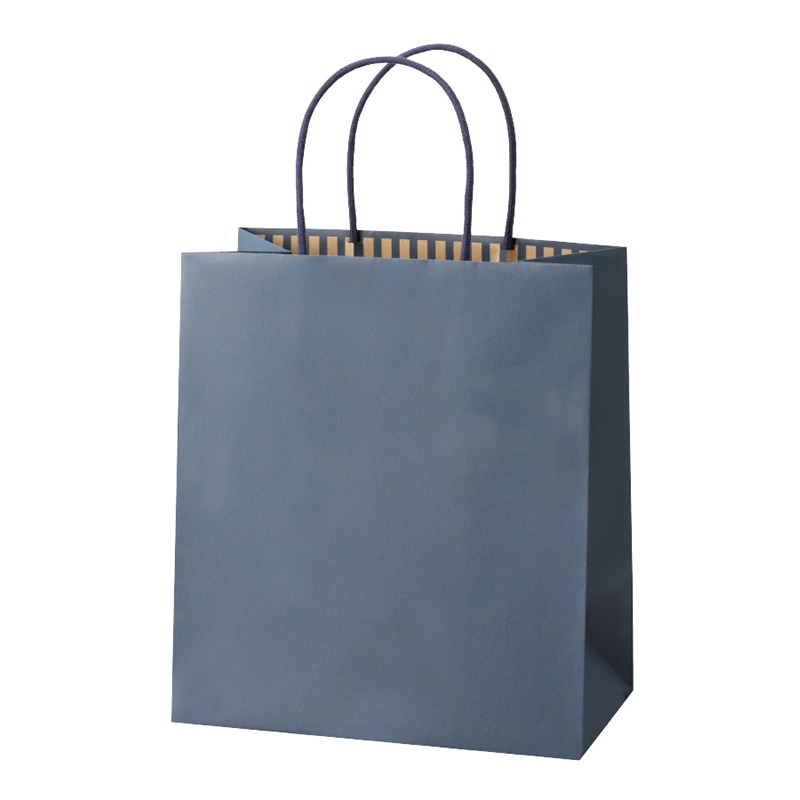 パックタケヤマ 手提げ紙袋　STカラーズ ディープブルー XZT68306 10枚/束（ご注文単位10束）【直送品】