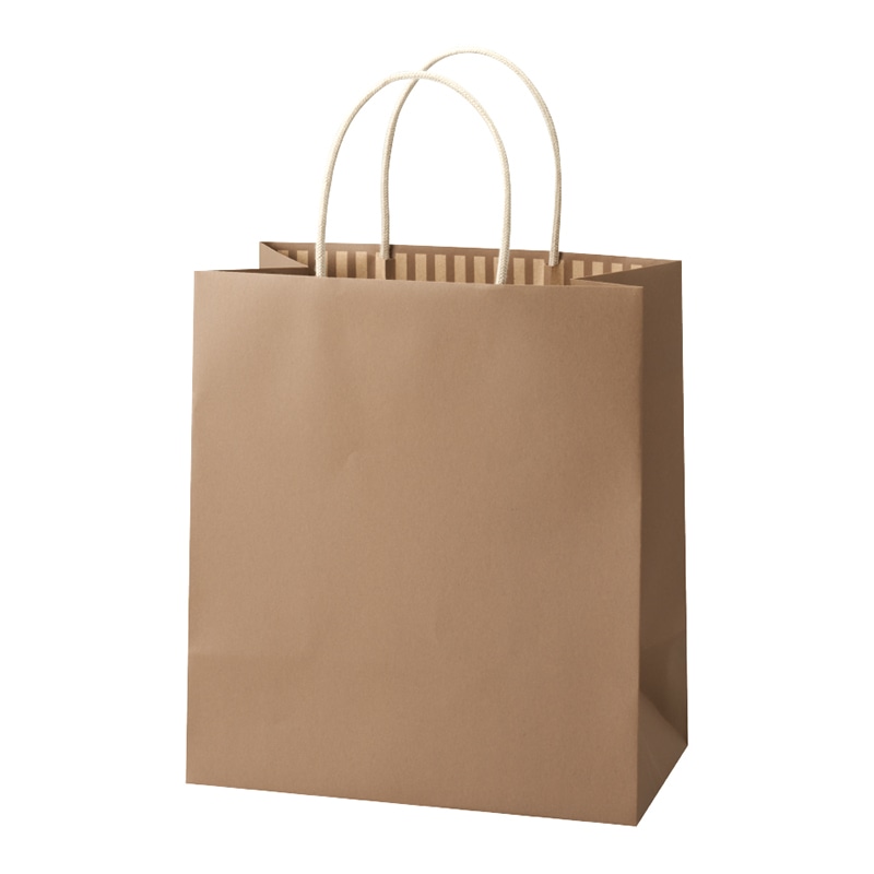 パックタケヤマ 手提げ紙袋　STカラーズ アーモンド XZT68309 10枚/束（ご注文単位10束）【直送品】