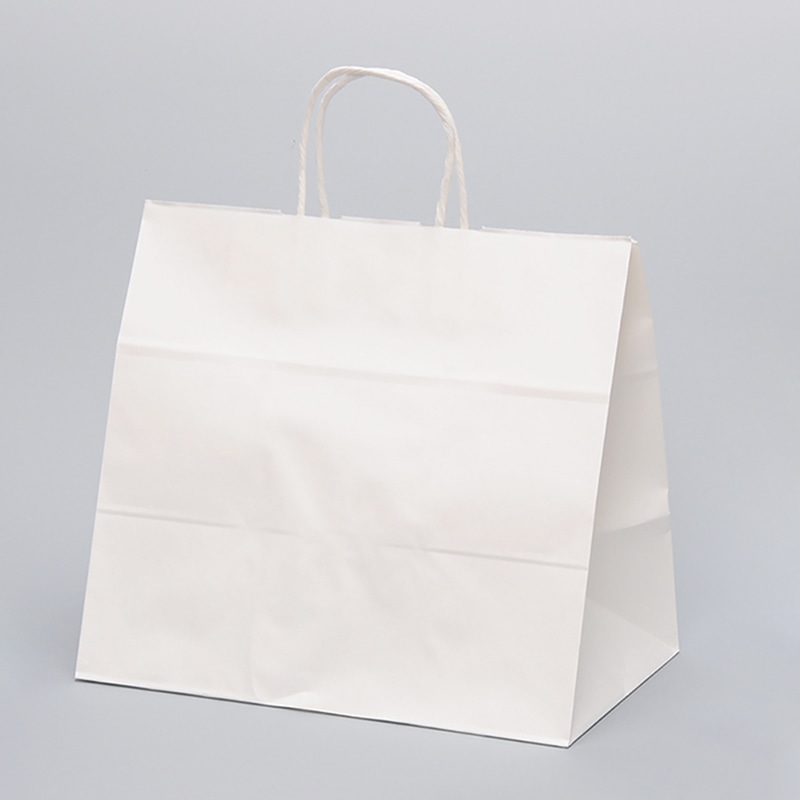 パックタケヤマ 自動手提袋 HV75　晒　無地 XZT00933 50枚/袋（ご注文単位4袋）【直送品】