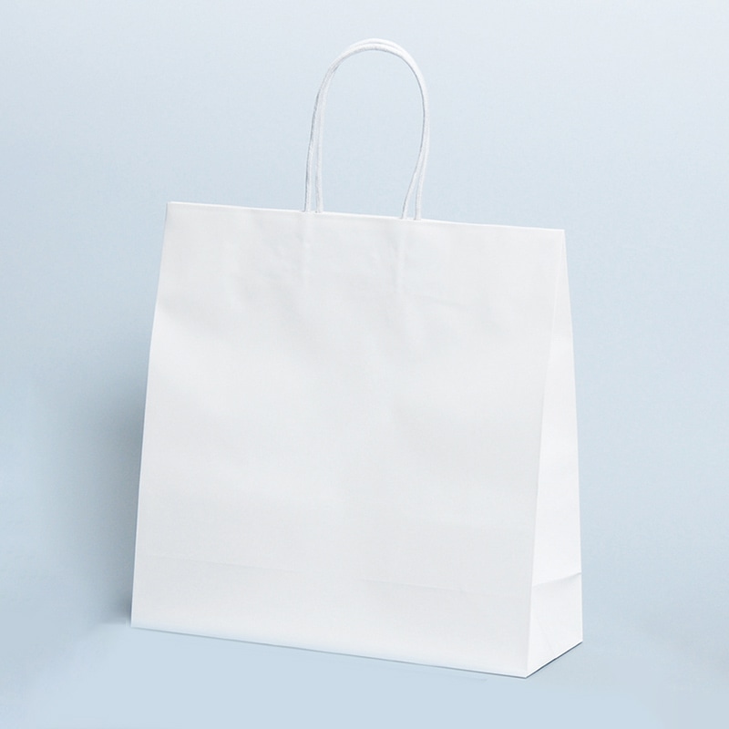 パックタケヤマ 手提げ紙袋 ST3才 プリティ 白 XZT00851 10枚/袋(ご注文単位10袋)【直送品】