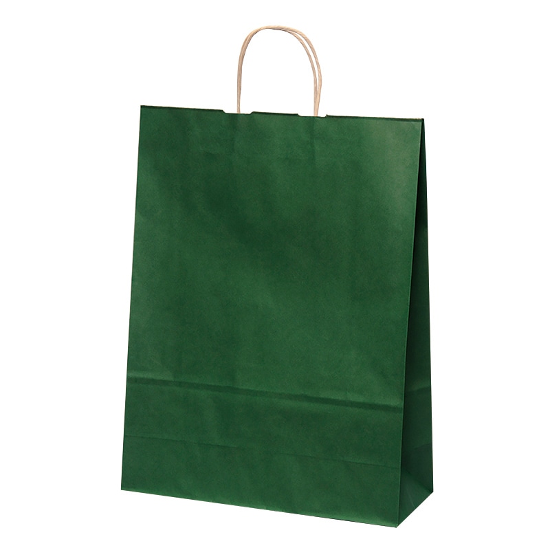 パックタケヤマ 自動手提袋 HV100 エメラルド XZT00955 50枚/袋(ご注文単位4袋)【直送品】