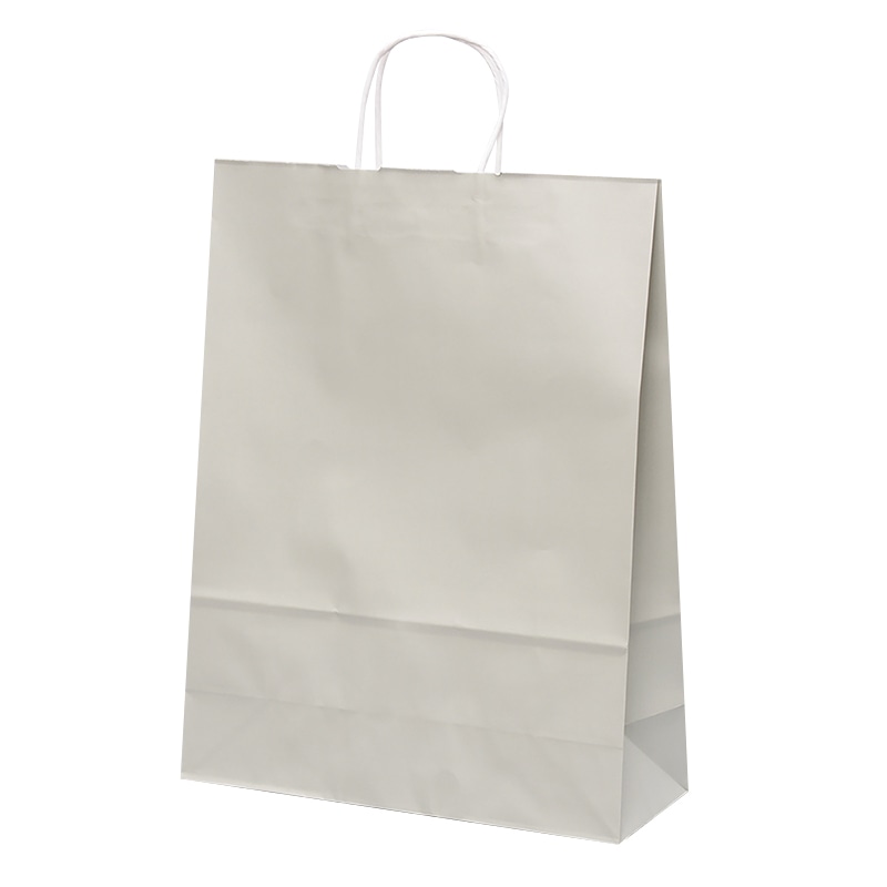 パックタケヤマ 自動手提袋 HV100 グレー XZT01102 50枚/袋(ご注文単位4袋)【直送品】