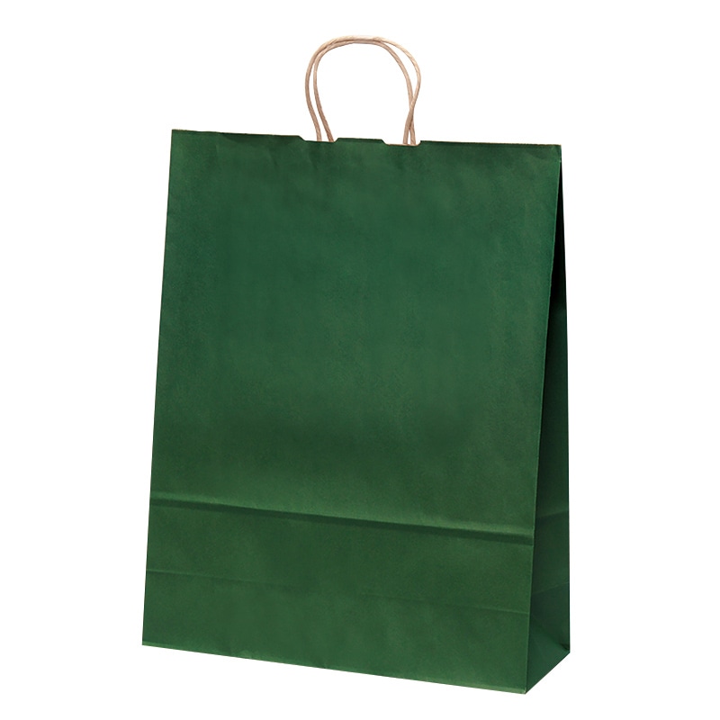 パックタケヤマ 自動手提袋 HV140 エメラルド XZT00879 50枚/袋(ご注文単位4袋)【直送品】