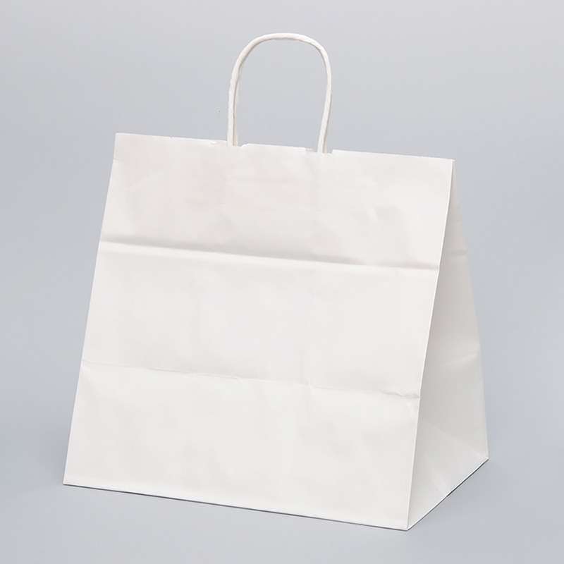 パックタケヤマ 自動手提袋 HV78 晒 無地 XZT00910 50枚/袋(ご注文単位4袋)【直送品】