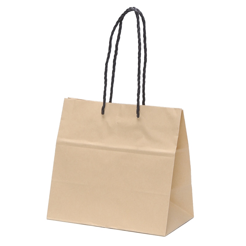 パックタケヤマ 手提げ紙袋 BSS XZT00925 10枚/袋（ご注文単位10袋）【直送品】