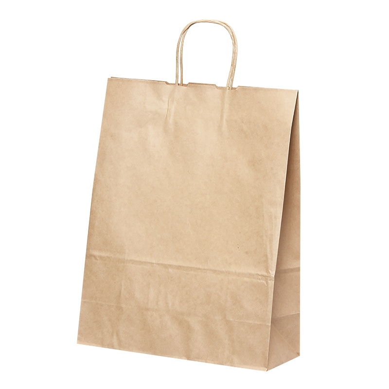 パックタケヤマ 自動手提袋 HV70 未晒 無地 XZT68970 50枚/袋(ご注文単位4袋)【直送品】