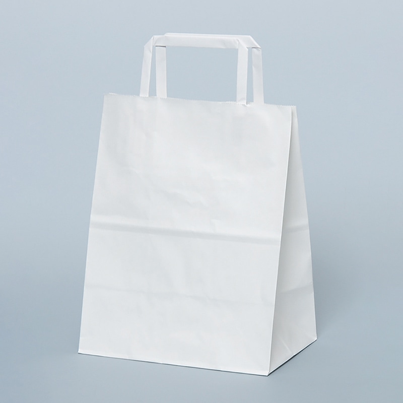 パックタケヤマ 自動手提袋　平ヒモ H平20　晒　無地 XZTT0994 50枚/袋（ご注文単位4袋）【直送品】