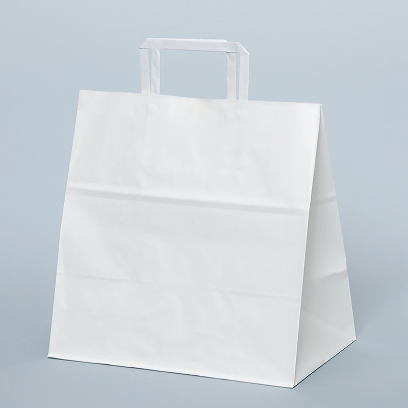 パックタケヤマ 自動手提袋　平ヒモ H平28　晒　無地 XZT01023 50枚/袋（ご注文単位4袋）【直送品】