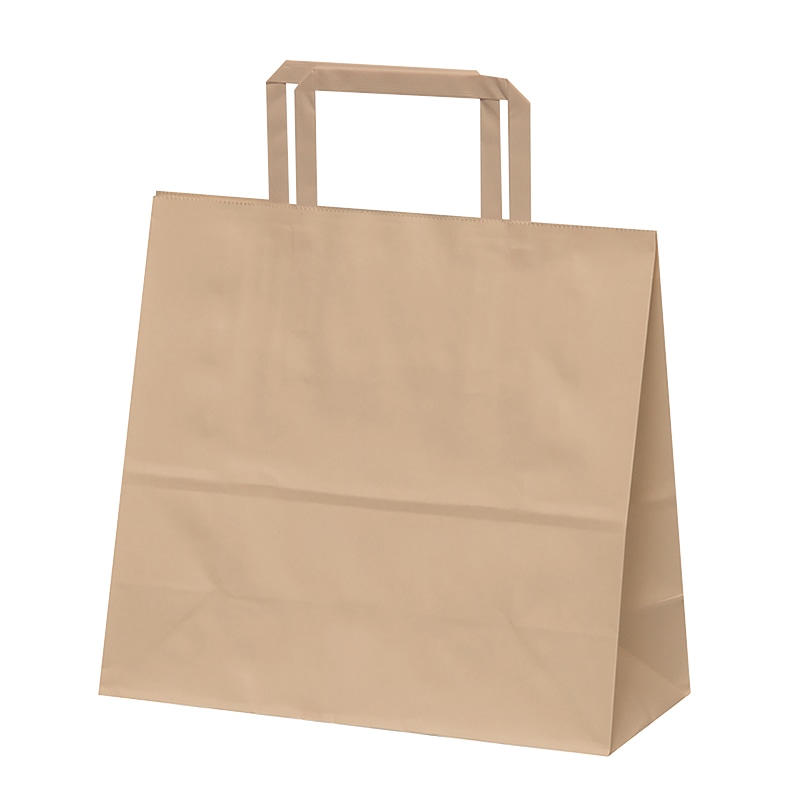 パックタケヤマ 自動手提袋　平ヒモ H平24　未晒無地 XZT69940 50枚/袋（ご注文単位4袋）【直送品】