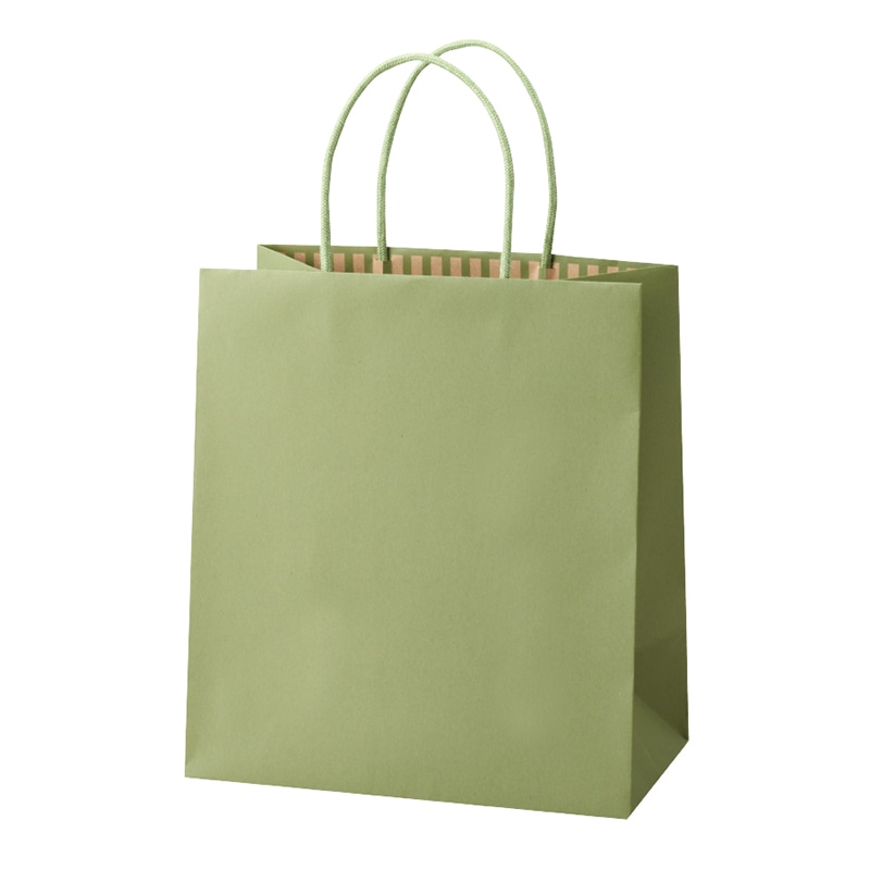 パックタケヤマ 手提げ紙袋　STカラーズ グリーンティー XZT68307 10枚/袋（ご注文単位10袋）【直送品】