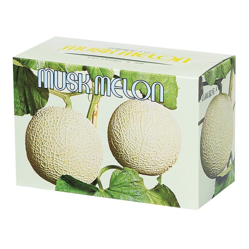 パックタケヤマ メロン函 2ケ用 XZV01300 20枚/袋（ご注文単位5袋）【直送品】