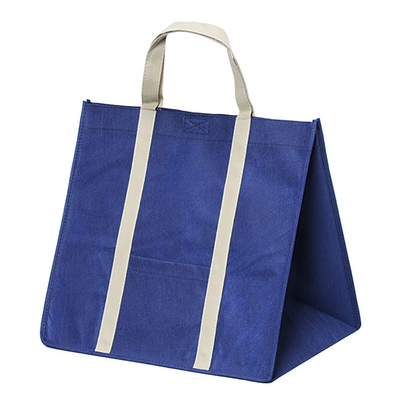 パックタケヤマ 不織布バッグ　ソフトバッグ 3827　コン XZV01418 10枚/袋（ご注文単位10袋）【直送品】