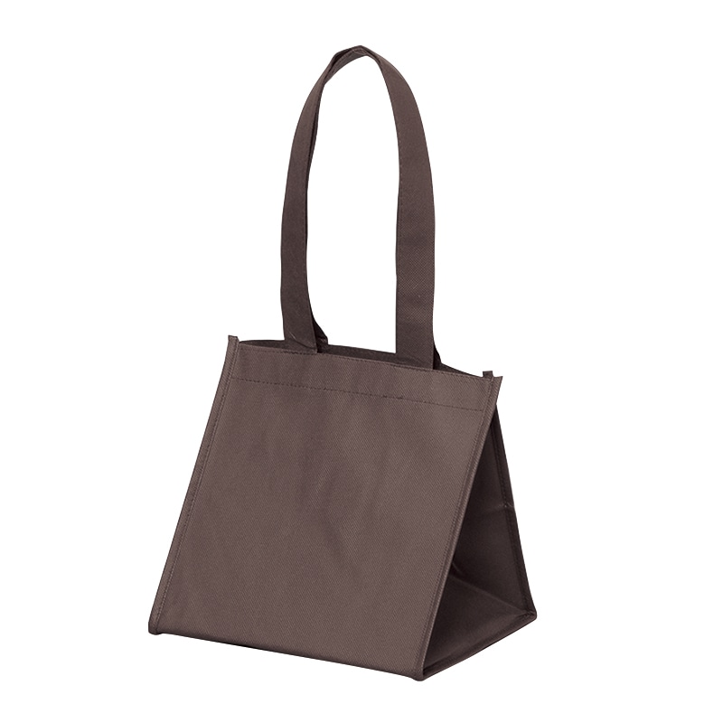 パックタケヤマ 不織布バッグ　SFバッグ ブラウン　S XZV90716 10枚/袋（ご注文単位10袋）【直送品】