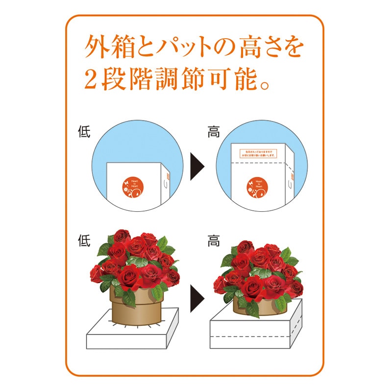 パックタケヤマ 花宅配ダンボール　フラワーボックス FPT-14 XZV90758 2枚/袋（ご注文単位5袋）【直送品】