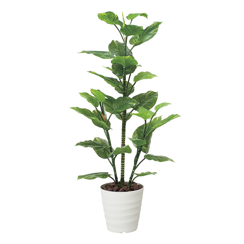 インテリアグリーン