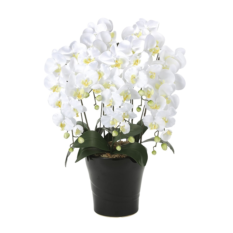 アートクリエーション 光の楽園 アートフラワー クイーン胡蝶蘭 5本立ち W 654A150 1個(ご注文単位1個)【直送品】