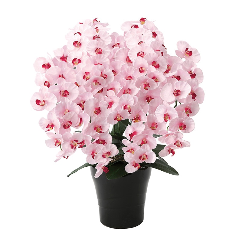 アートクリエーション 光の楽園 アートフラワー プレミアム胡蝶蘭 7本立ち P 656A250 1個(ご注文単位1個)【直送品】