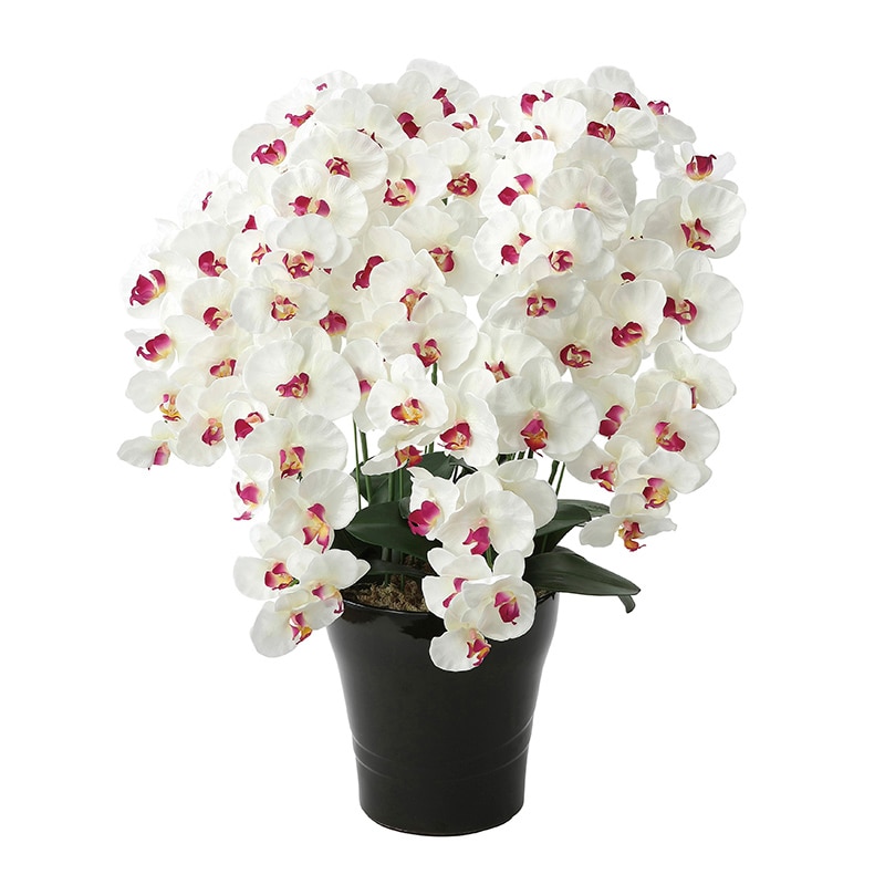 アートクリエーション 光の楽園 アートフラワー プレミアム胡蝶蘭 7本立ち W/AB 657A250 1個(ご注文単位1個)【直送品】