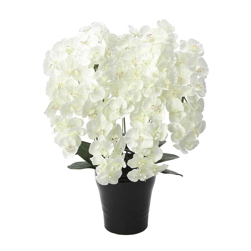 アートクリエーション 光の楽園 アートフラワー プレミアム胡蝶蘭 7本立ち W 658A250 1個(ご注文単位1個)【直送品】