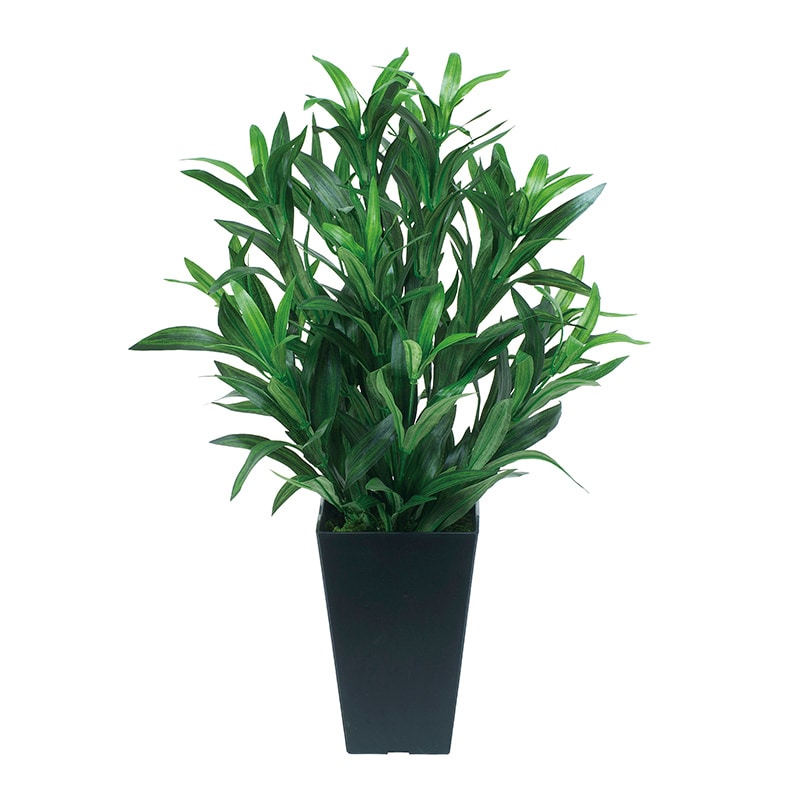 アートクリエーション 光の楽園 フェイクグリーン スパイダー 518A70 1本(ご注文単位1本)【直送品】