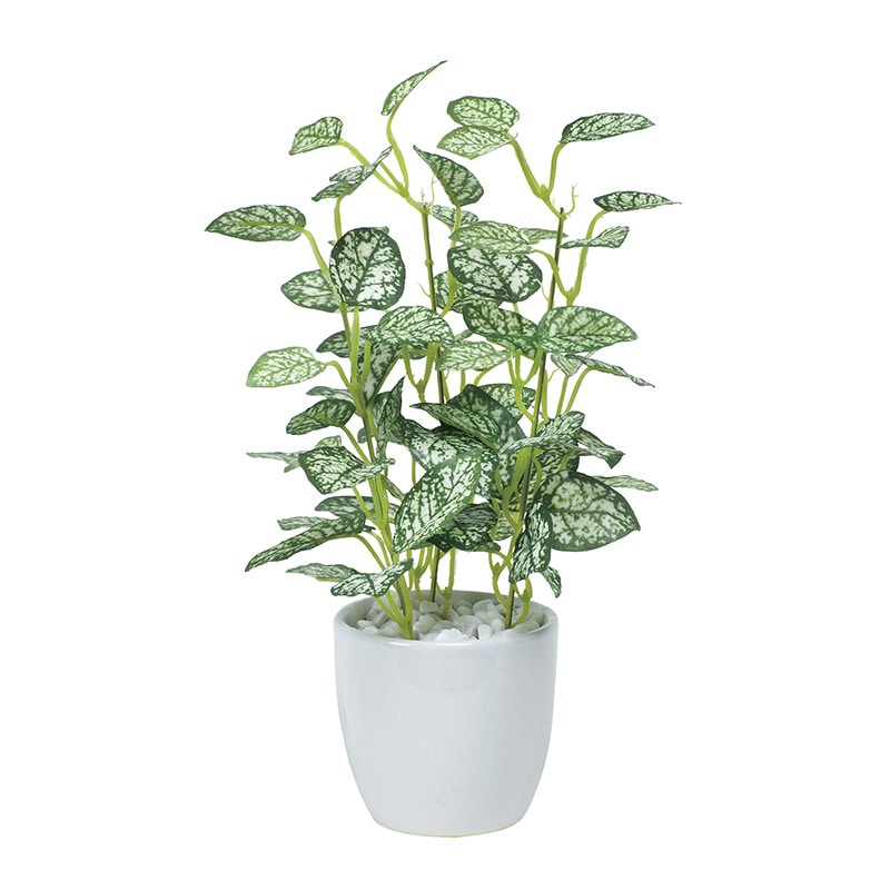 アートクリエーション 光の楽園 フェイクグリーン ミニピポエスタポット 525A25 1個(ご注文単位1個)【直送品】