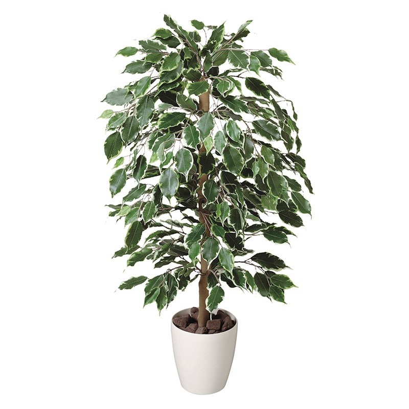 アートクリエーション 光の楽園 フェイクグリーン ゴールデンフィカス 1.0m 202A150 1個(ご注文単位1個)【直送品】