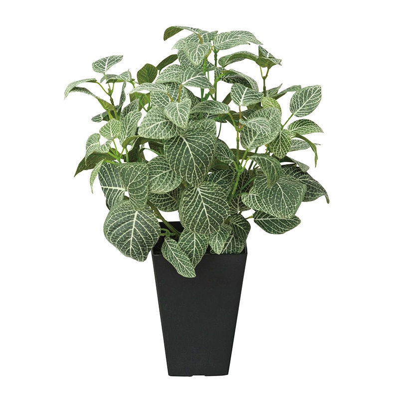 アートクリエーション 光の楽園 フェイクグリーン フィットニア フロック加工 230A50 1個(ご注文単位1個)【直送品】